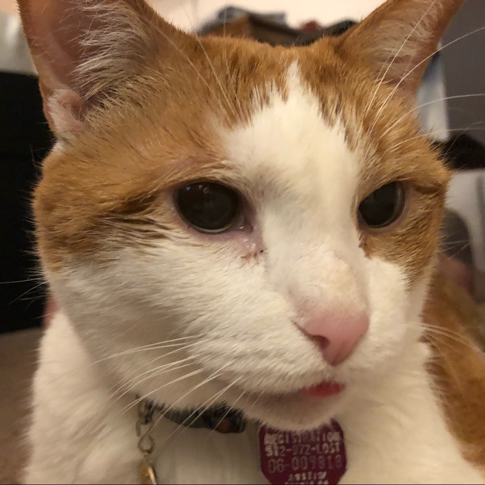 Meet your Posher, Chance